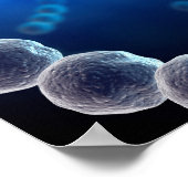 ストレプトコッカス2の顕微鏡的見解 ポスター (角)