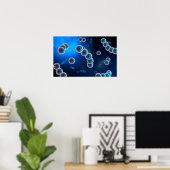 ストレプトコッカス2の顕微鏡的見解 ポスター (ホームオフィス)