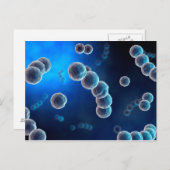 ストレプトコッカス2の顕微鏡的見解 ポストカード (正面/裏面)