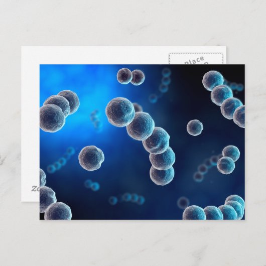 ストレプトコッカス2の顕微鏡的見解 ポストカード (正面/裏面)