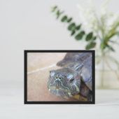 ストレルカクローズアップ ポストカード (スタンド正面)