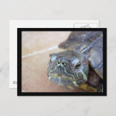 ストレルカクローズアップ ポストカード (正面/裏面)