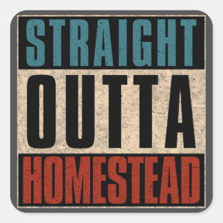 ストレートアウトタホームステッドフロリダFL スクエアシール