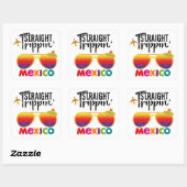 ストレートトリピンメキシコトラベルトリップバケーショングループ スクエアシール (シート)