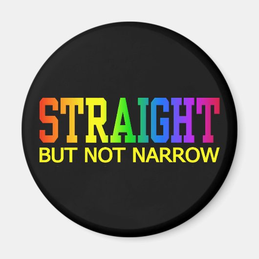 ストレートマグネット マグネット (正面)