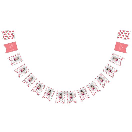 ストロベリーガールファースト誕生日マイルストーンの写真 バンティングフラッグ (全)