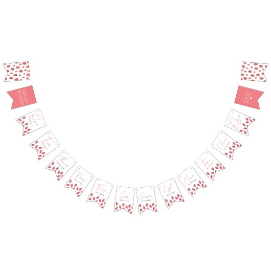 ストロベリーガールベリーファースト誕生日マイルストーン バンティングフラッグ (全)