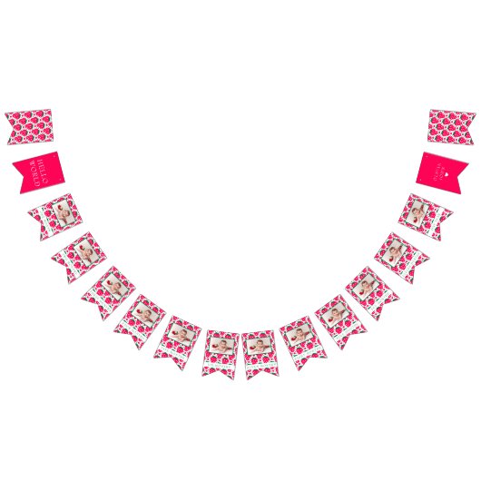 ストロベリーガール1st誕生日マイルストーンの写真  バンティングフラッグ (全)