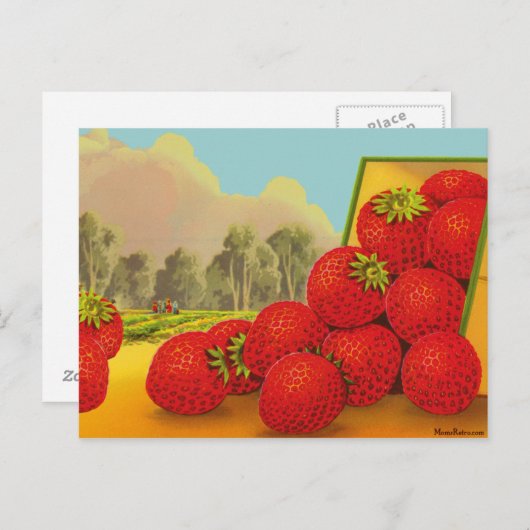 ストロベリークレートラベルヴィンテージアート空白のはがき ポストカード (正面/裏面)