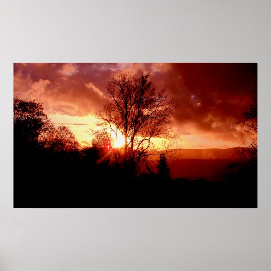 ストロベリーサンライズ ポスター (正面)