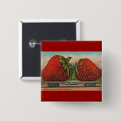ストロベリージャイアントアンティークフルーツおもしろい 缶バッジ (正面&裏面)