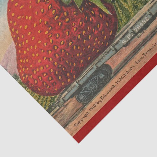 ストロベリージャイアントアンティークフルーツおもしろい 薄葉紙 (詳細)