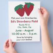 ストロベリーストロベリーファームフライヤー チラシ (手)