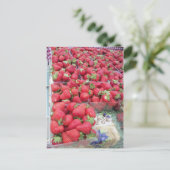 ストロベリーバンチ ポストカード (スタンド正面)