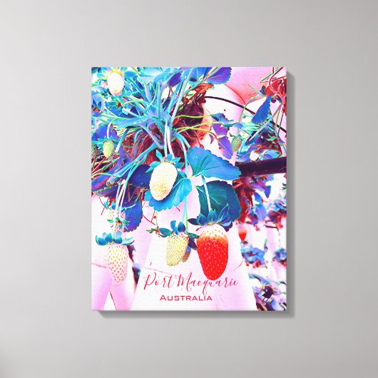 ストロベリーファームポートマコーリーオーストラリア キャンバスプリント (正面)
