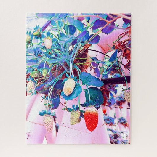 ストロベリーファームポートマコーリーオーストラリア ジグソーパズル (縦)