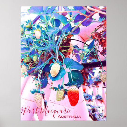 ストロベリーファームポートマコーリーオーストラリア ポスター (正面)
