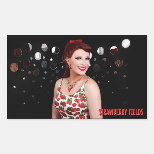 ストロベリーフィールド鏡フォトスタンプ 長方形シール (正面)