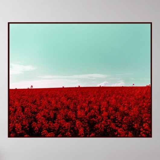 ストロベリーフィールド ポスター (正面)