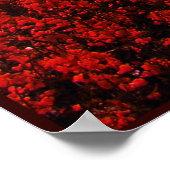 ストロベリーフィールド ポスター (角)