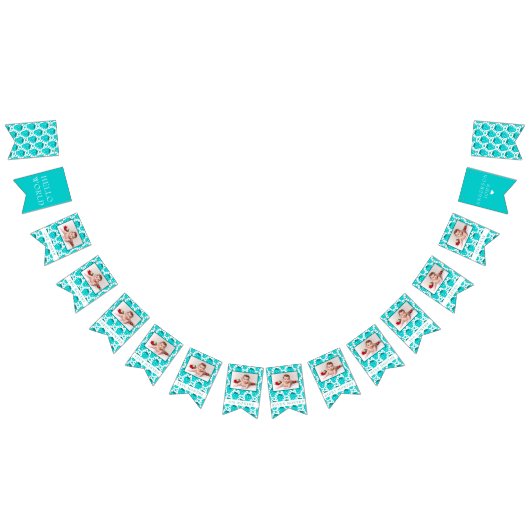 ストロベリーボーイ最初の誕生日マイルストーンの写真 バンティングフラッグ (全)