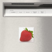 ストロベリーマグネットデコール マグネット (インサイチュ (食洗機))
