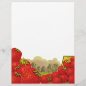 ストロベリーヴィンテージクレートアートフライヤー チラシ (裏面)