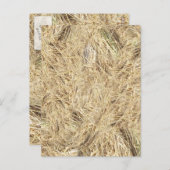 ストローの背景 ポストカード (正面/裏面)