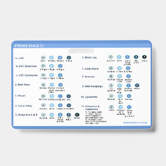 ストロークスケールバッジコンパニオン バッジ