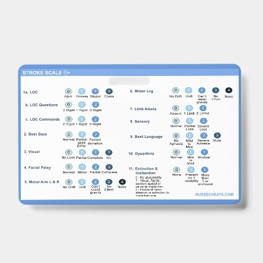 ストロークスケールバッジコンパニオン バッジ (Front)