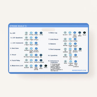 ストロークスケールバッジコンパニオン バッジ