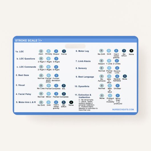 ストロークスケールバッジコンパニオン バッジ (正面)