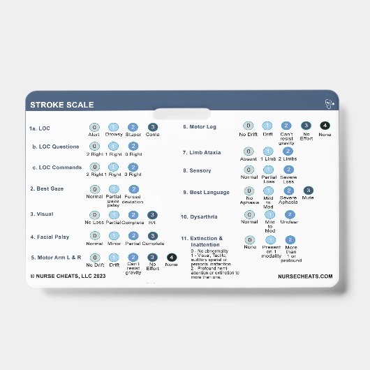 ストロークスケールバッジ バッジ (表面)