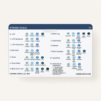 ストロークスケールバッジ バッジ