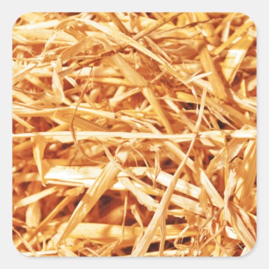 ストロー、抽象デザイン スクエアシール (正面)