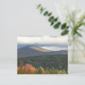 ストーウェ・バーモントの葉 ポストカード (スタンド正面)