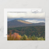 ストーウェ・バーモントの葉 ポストカード (正面/裏面)