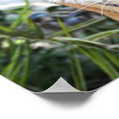 ストーカーの虎 ポスター (角)