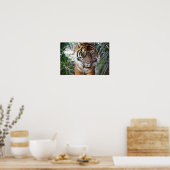 ストーカーの虎 ポスター (キッチン)