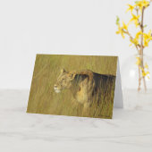 ストーカー雌獅子挨拶カード カード (黄色い花)