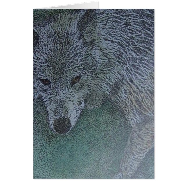 ストーカー (正面)