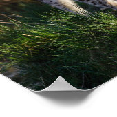 ストーカー・リンクス ポスター (角)