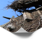 ストークオンネスト ポスター (角)