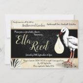 ストーククリームベビーシャワー招待状 招待状 (正面)