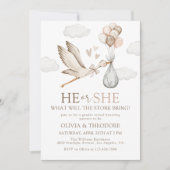 ストークベビー配信He or She Gender Revealパーティー 招待状 (正面)