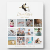 ストーク生まれたばかりのベビーの初年度の写真誕生の詳細 フォトプラーク (正面)