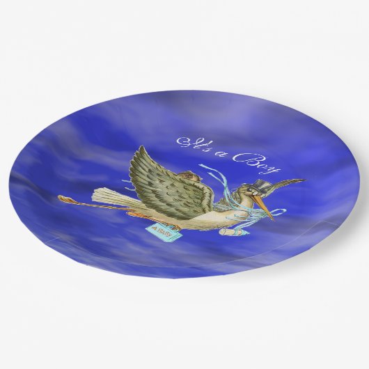 ストーク男の赤ちゃんシャワーブルースカイ ペーパープレート (アングル)