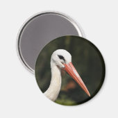 ストーク – ストラスブールとフランスのアルザスのシンボル マグネット (正面/裏面)