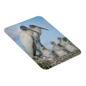 「ストーク・ファミリー」 マグネット (右側)