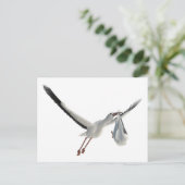 ストーク（白にバンドル） ポストカード (スタンド正面)